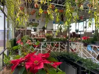 Anh Tuan Hotel & Coffee - Pleiku, Gia Lai - bar