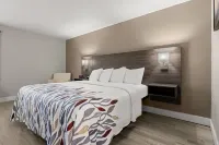 Red Roof Inn Washington, NC Hotels in Washington