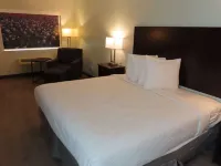 Best Western Childress West Hotel Hotels in Childress County