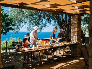 Holiday Park Olive Tree