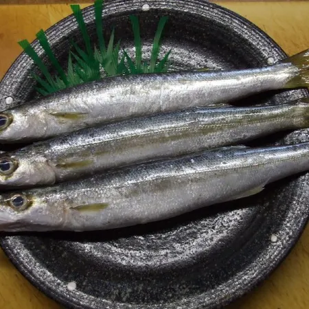 Kappo Tsunen Minshuku Yamaya