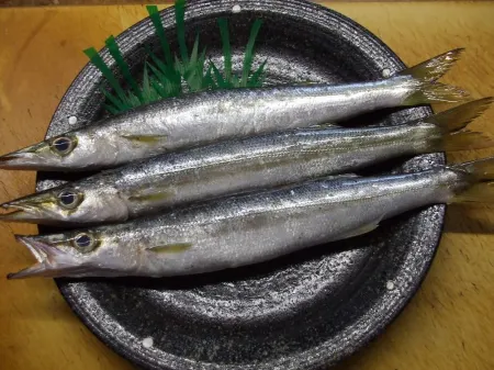 Kappo Tsunen Minshuku Yamaya