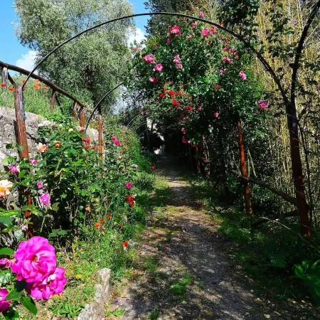 Villa Il Frassine