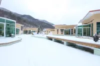 정선 드위트리펜션&카라반가든