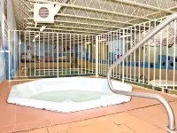 ザ ダッチ イン