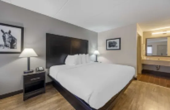 Best Western Shelbyville Inn and Suites Celebration Inn