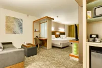 SpringHill Suites McAllen Convention Center Hotels in Mcallen