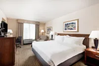 Holiday Inn JOHNSTOWN-GLOVERSVILLE by IHG Hotels in Amsterdam