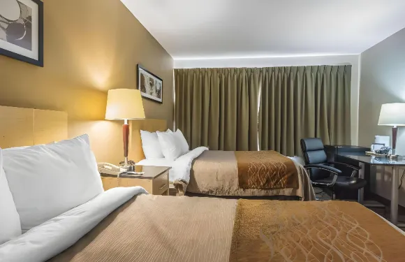 貝勒維爾舒適酒店