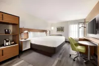 Four Points by Sheraton Alexandria Hotels in Alexandria