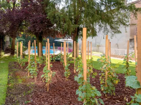 Ibis Styles Mâcon Centre Отели в г. Шарне-ле-Макон