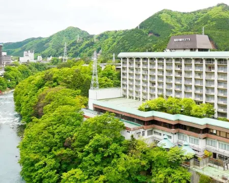 大江戸温泉物語Premium 鬼怒川観光ホテル 日光のホテル