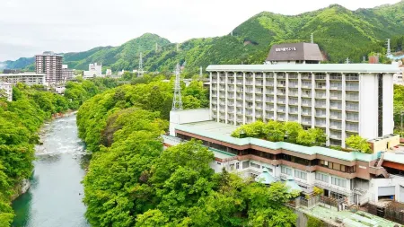 Ooedo Onsen Monogatari Premium Kinugawa Kanko Hotel