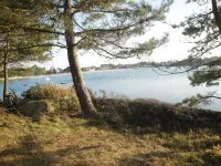 Bright house with garden and terraces.