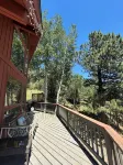 Aspen Tree Ranch Evergreen Colorado