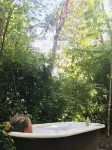 On a 40 acre estate, outdoor soaking tub,  fire pit, hammocks, pet friendly! Hotels in Vashon