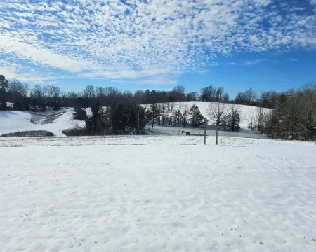 Family style cabin with pond and orchard near the Buffalo National River 瑟西縣酒店