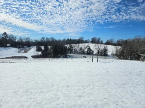 Family style cabin with pond and orchard near the Buffalo National River