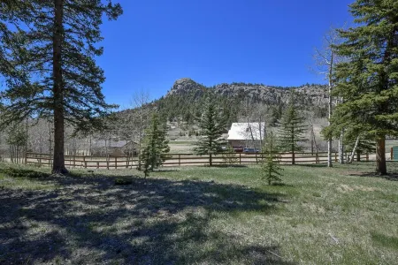 Trout Haven - Ntl. Forest Access & World Class Fishing!