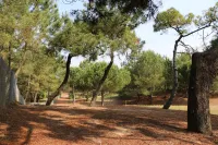 Maison Douillette et Calme à 700m des Plages Hotels in Saint-Brevin-les-Pins