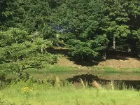 Newly built, 3 bedroom Cabin in a quiet neighborhood near Sardis Lake, MS.