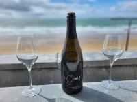 Appartement Surplombant la mer et la Grand Plage, Centre des Sables, Tout à Pied