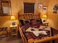Douglas Lake, TN Lake House, lake access, breathtaking views and amazing sunsets