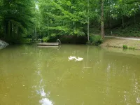 Secluded cabin perfect getaway for couples or ideal for small families! Hotel a Blue Ridge