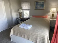 Semi-Oceanfront ,  Views! 5 BR  Pet Friendly,  Pool, Hot Tub,  Location!