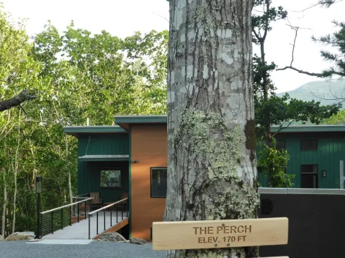 Luxury Stay, Acadia Mountain Views, Direct Access to Trails, Artistic Retreat
