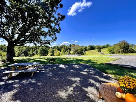 Couples Glamping Tent Near the Buffalo River