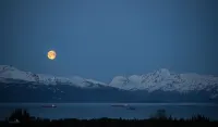 Otter Stop Inn!  Ocean and mountain views from every window!