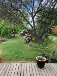Much Loved Period Cottage