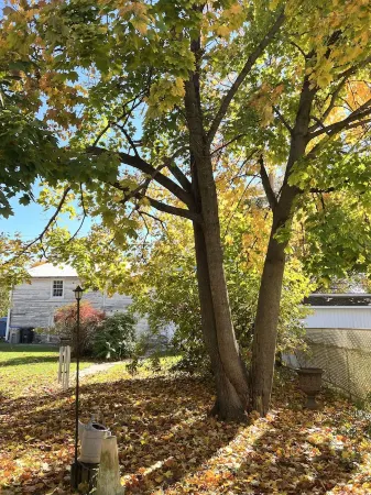 Stylish 1 BR Apt. w/ Sunroom in DT Hughesville