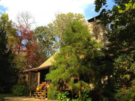 Rare private cabin retreat surrounded by 1700 acres of woods, yet close to town.