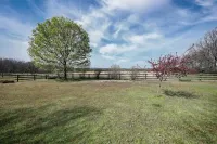 Summertime Fun at the White Squirrel Lodge! Hotels in Lawrence County