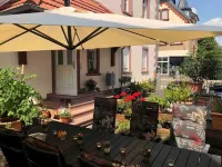 LUXURY | NEAR FRANKFURT | 8 PERSON 24/7 CHECK