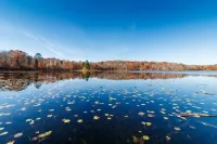 Amazingly Comfortable and Secluded Northwoods Getaway