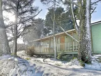 Luxury Scandi Cabin On A Hill, With Stunning Views Across Cornwall >NEAR ST IVES Hotels near Tremenheere Sculpture Gardens