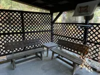 Cabin in waterfall country with trail access and screened porch.  Pet friendly!