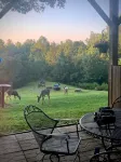 BlueRidgeVista.  4 miles to Tryon Equestrian Ctr.