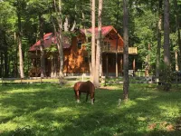 Stunning Riverfront Solar-Powered Cabin  (back-up generator)