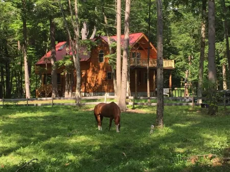 Stunning Riverfront Solar-Powered Cabin  (back-up generator)