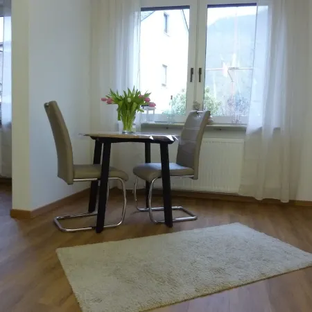 Directly on the Rhine with a fantastic view of the castle in Bad Salzig