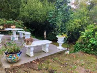 Private Cozy suite in Los Gatos -Saratoga  walking distance to downtown..