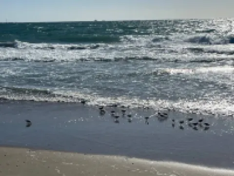 New Home, AC, Beach Passes, Hot Tub, EV Charger, Linens, & No Cleaning Fee!