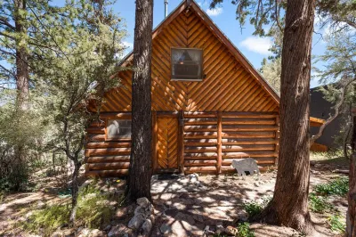 Big Bear: Mid Century, Cozy, Beautiful, and Quiet Log Cabin! Dog friendly