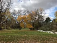 Hidden Northfield Cottage 라이스 카운티 호텔