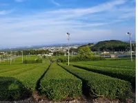 MIYAZUMASOU Hotels in Yokkaichi