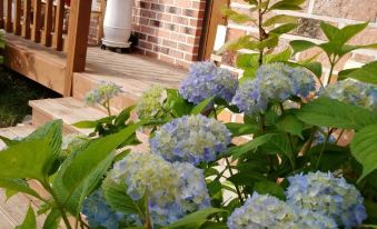 Chungju Justin House Pension